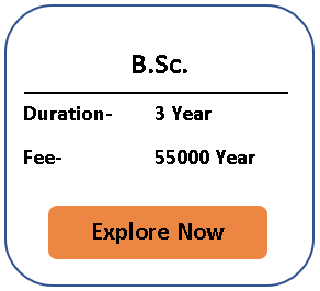 bsc